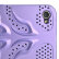 Textured_Fishbone_Perforated_Plastic_Hard_Back_Case_for_iPhone_4_Purple_500-1.jpg