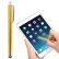 S-IPAD-0623RG.jpg